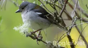 BİLGİSAYARDAN YAPILAN İŞLER