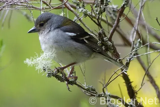 BİLGİSAYARDAN YAPILAN İŞLER