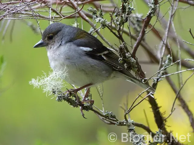 BİLGİSAYARDAN YAPILAN İŞLER BİLGİSAYARDAN YAPILAN İŞLER
