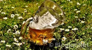 Bir gecede para kazanmak