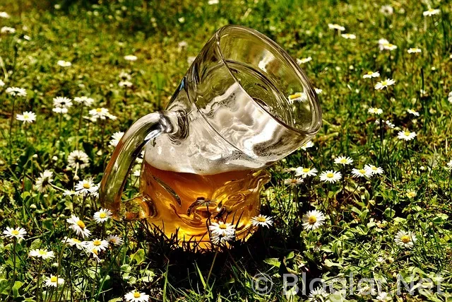 Bir gecede para kazanmak Bir gecede para kazanmak