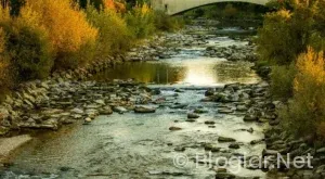 BİR MİLYON TAKİPÇİSİ OLAN YOUTUBER NE KADAR KAZANIR