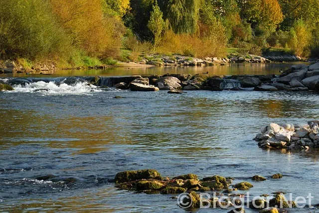 BİR MİLYON TAKİPÇİSİ OLAN YOUTUBER NE KADAR KAZANIR BİR MİLYON TAKİPÇİSİ OLAN YOUTUBER NE KADAR KAZANIR