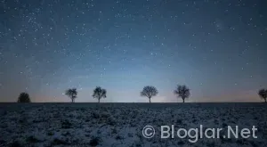 Birce Akalay Kimdir?