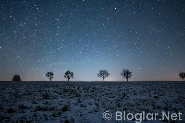 Birce Akalay Kimdir?