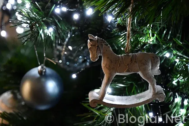 Boscagli Kimdir? Boscagli Kimdir?