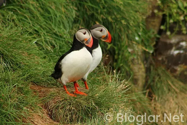 Çekmeköy'de bayan iş sahibinden çay temizlik Çekmeköy'de bayan iş sahibinden çay temizlik