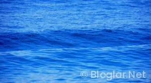 Deniz Çatalbaş kimdir?