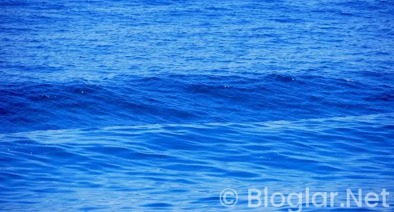 Deniz Çatalbaş kimdir?