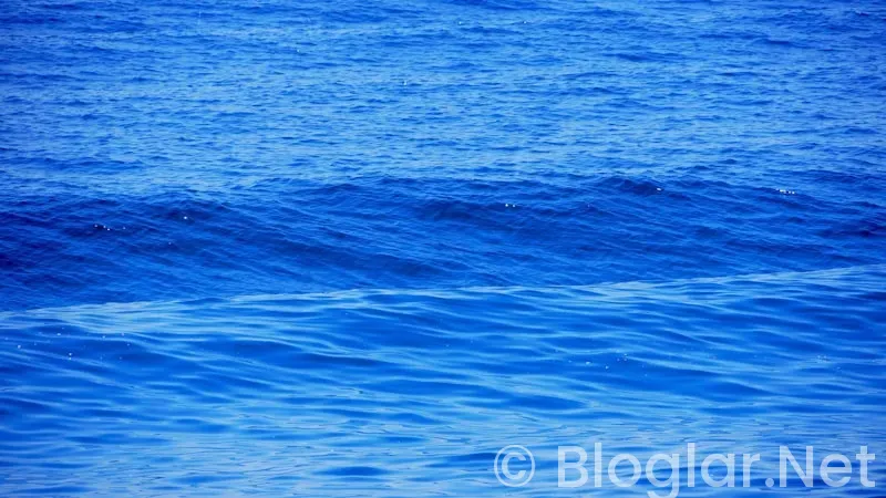 Deniz Çatalbaş kimdir?