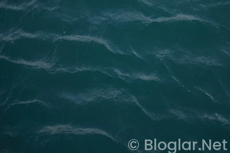 Deniz Çatalbaş kimdir?