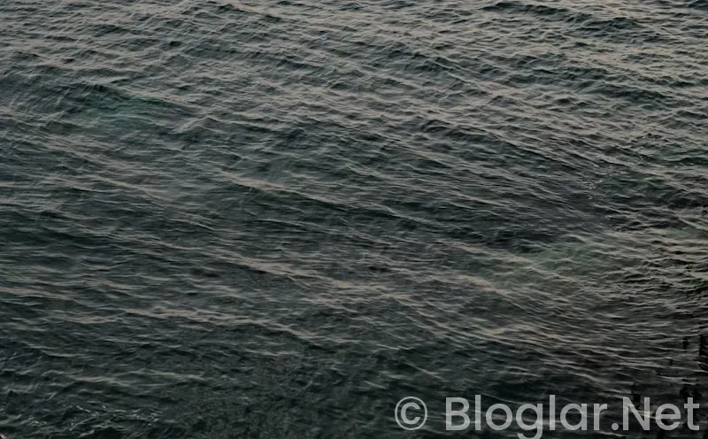 Deniz Çatalbaş kimdir?