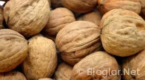 Denizli Ulaşım Saatleri