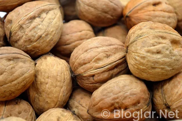 Denizli Ulaşım Saatleri Denizli Ulaşım Saatleri