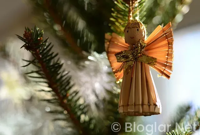 Derya Baykal Kimdir? Derya Baykal Kimdir?