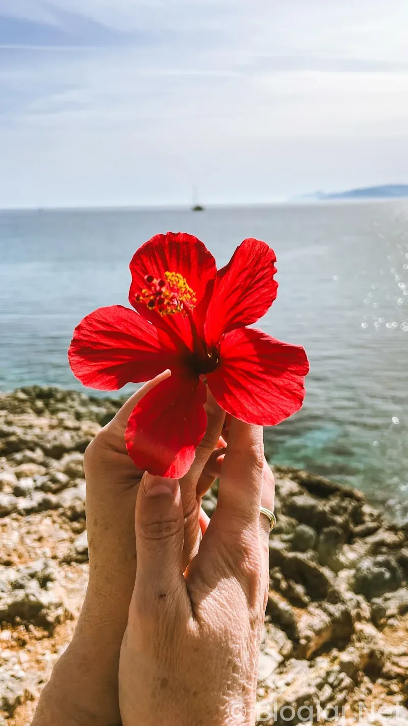 Dilan Çiçek Deniz Kimdir?