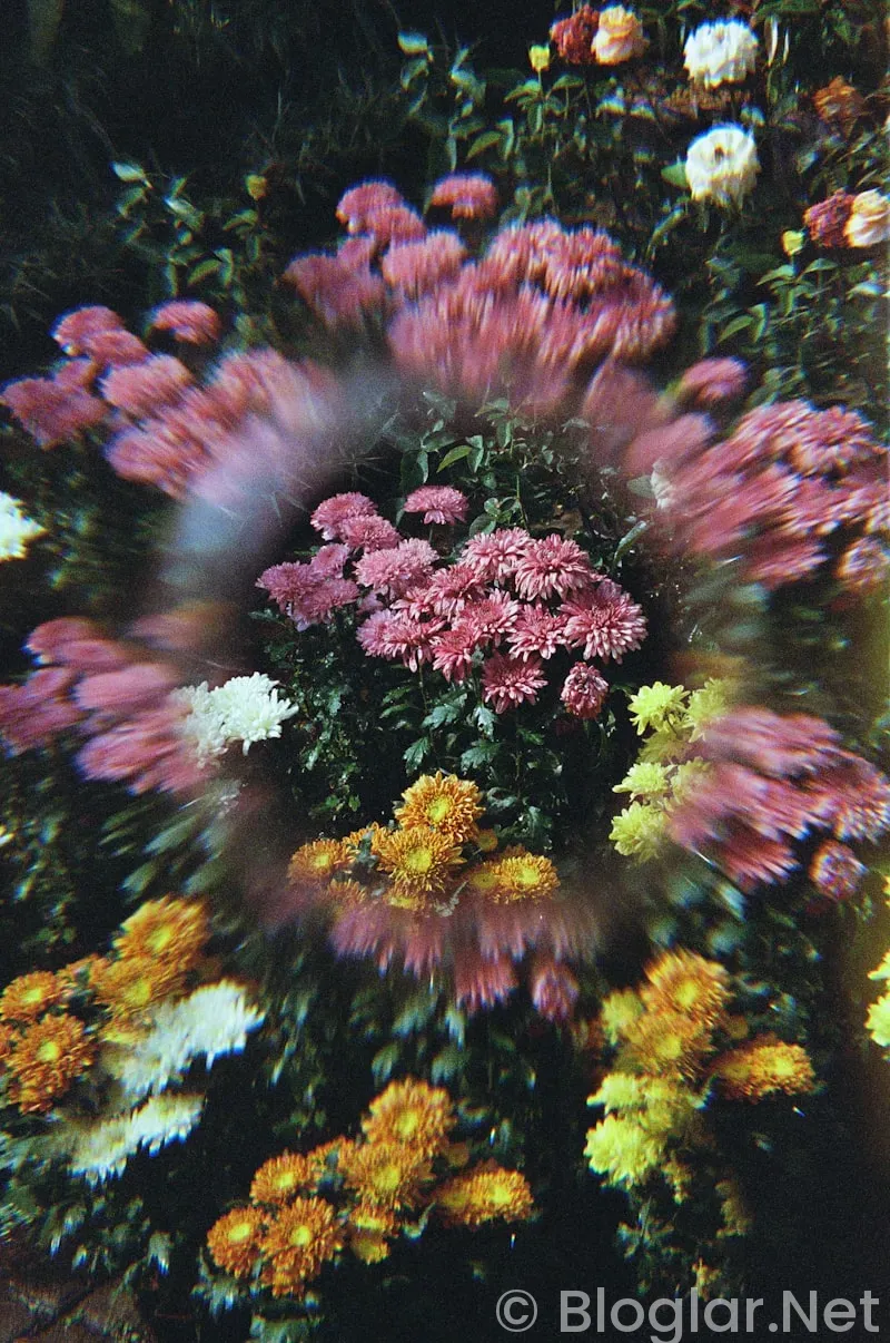 Dilan Çiçek Deniz Kimdir?