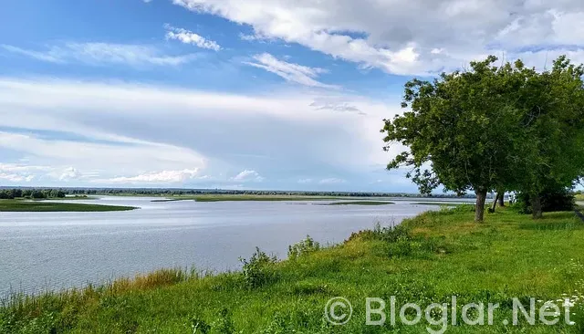 DİZİ İZLEYEREK PARA KAZANMAK DİZİ İZLEYEREK PARA KAZANMAK