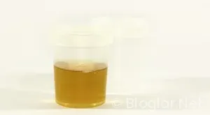 DOWNLOAD YAPARAK PARA KAZANMA