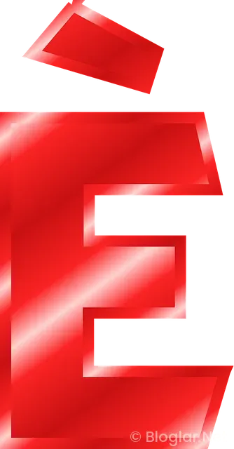 e-devlet Giriş Rehberi