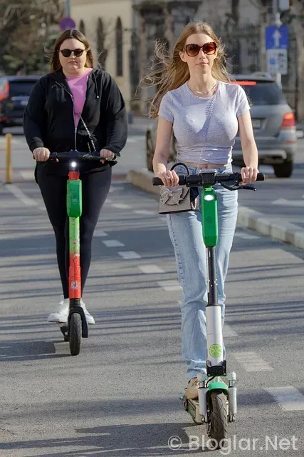 e-devlet Giriş Rehberi