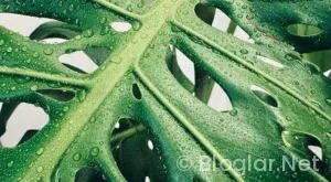 E TİCARETTEN NASIL PARA KAZANILIR