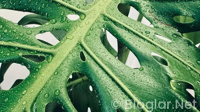 E TİCARETTEN NASIL PARA KAZANILIR