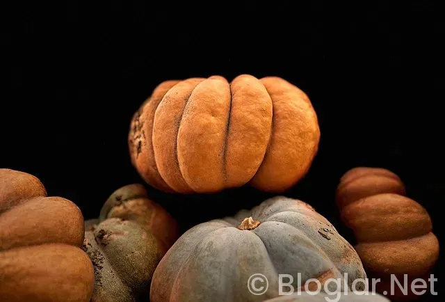 eleman arayan fabrikalar eleman arayan fabrikalar