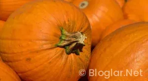 elenen yarışmacı masterchef kim elendi?