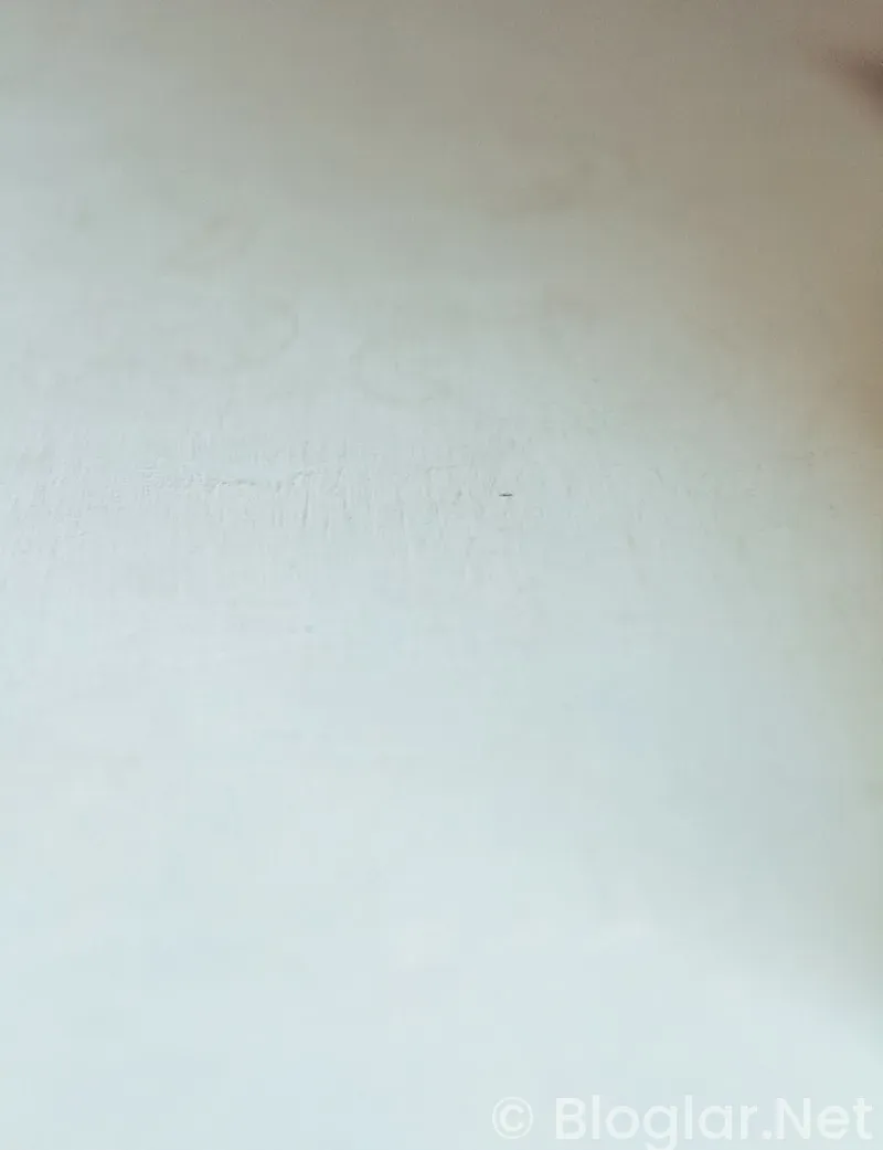 Emine Nilay Özkan kimdir? Emine Nilay Özkan kimdir?