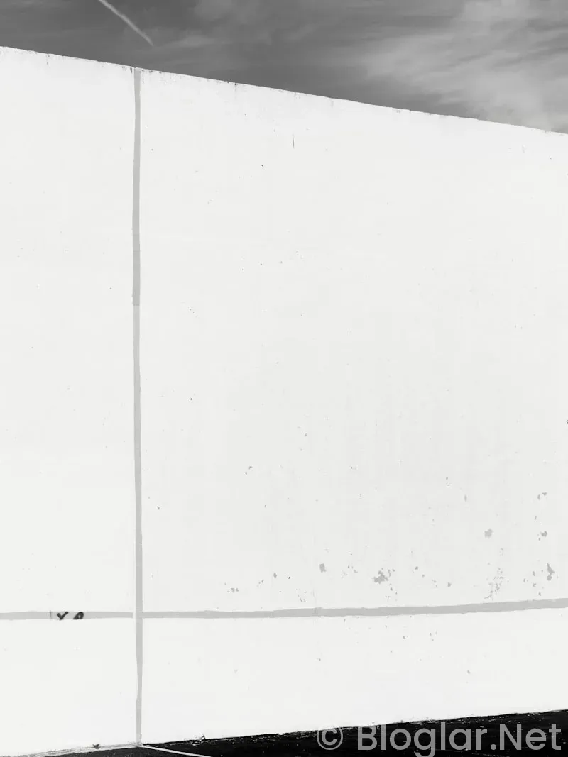 Emine Nilay Özkan kimdir? Emine Nilay Özkan kimdir?