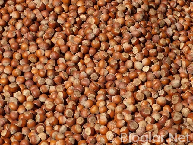 Emirhan Topçu Kimdir?