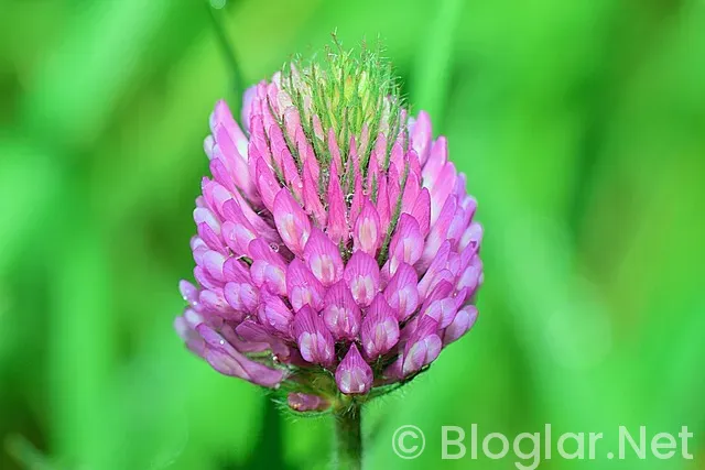 Fabrika paketleme is ilanları Fabrika paketleme is ilanları