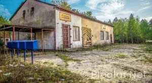 FENOMENLER NASIL PARA KAZANIYOR