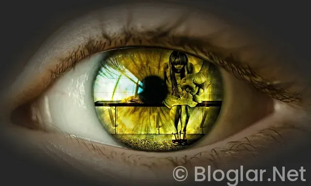 FENOMENLER NASIL PARA KAZANIYOR FENOMENLER NASIL PARA KAZANIYOR