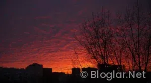 FİLM İZLEYEREK PARA KAZANMA