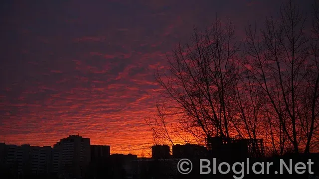 FİLM İZLEYEREK PARA KAZANMA