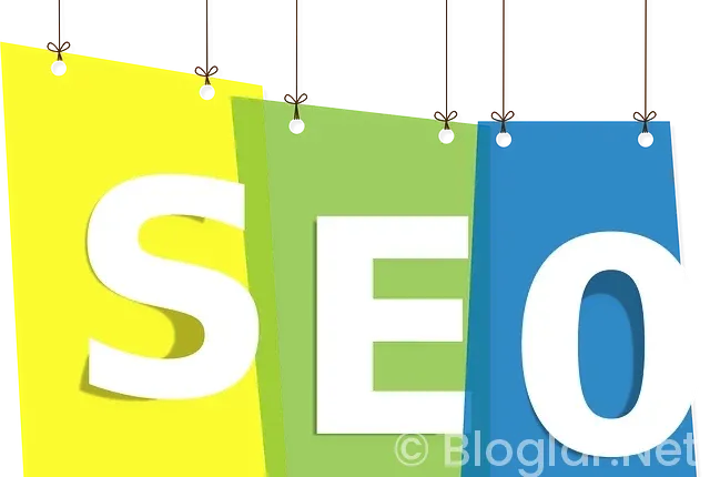 GOOGLE ADSENSE KAYDOL