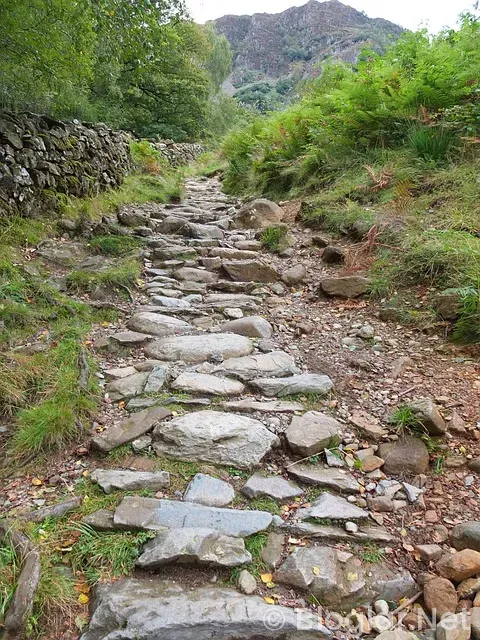 GOOGLE ADSENSE UK GOOGLE ADSENSE UK