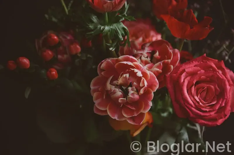 Güller ve Günahlar 8 bölüm Güller ve Günahlar 8 bölüm