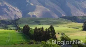Güray Keskinci kimdir