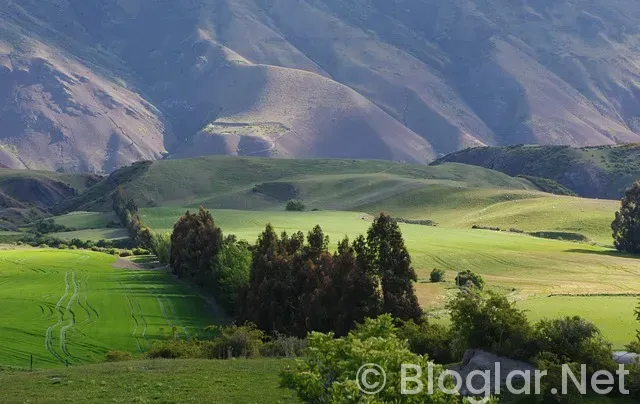 Güray Keskinci kimdir Güray Keskinci kimdir