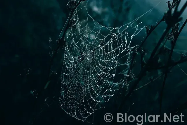 Güray Keskinci kimdir Güray Keskinci kimdir