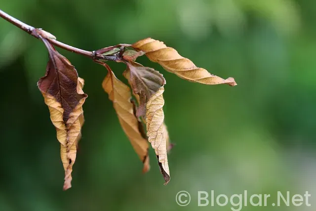 Güray Keskinci kimdir Güray Keskinci kimdir