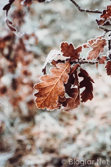 Güray Keskinci kimdir Güray Keskinci kimdir