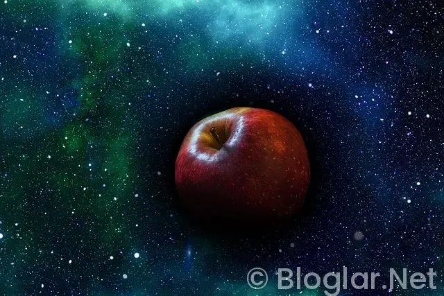 hangi kıtada doğan ilk insanın kim olduğu bilinmektedir