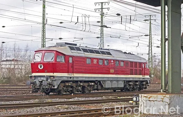 hangi kıtada doğan ilk insanın kim olduğu bilinmektedir