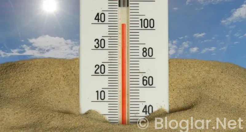 Hava Sıcaklık Durumu