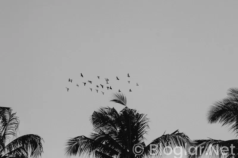 HAVA YOLLARI İŞ İLANLARI