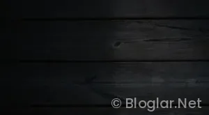 HAVALİMANI İS BASVURU FORMU